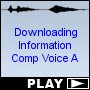 Downloading Information Comp Voice A