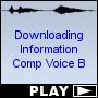 Downloading Information Comp Voice B