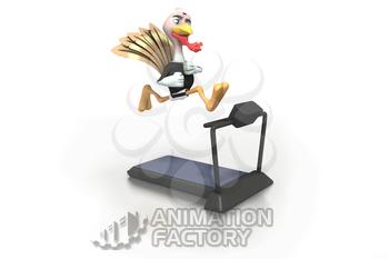 Fit turkey running on treadmill