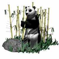 Bamboo Animation