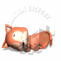 Feline Animation
