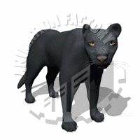 Panther Animation