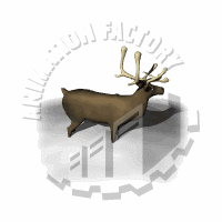 Antlers Animation