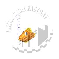 Goldfish Animation