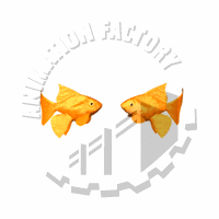Goldfish Animation