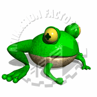 Amphibian Animation