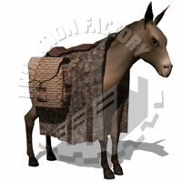 Mule Animation