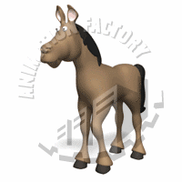 Equine Animation