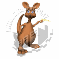 Kangaroo Animation