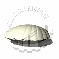 Seashell Animation