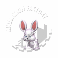 Rabbit Animation