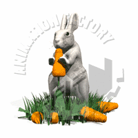 Rabbit's Animation