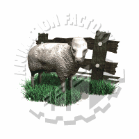 Lamb Animation