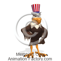 Bald eagle wearing patriotic hat