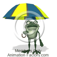 Frog under umbrella
