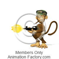 Military monkey shooting rifle