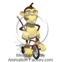 Monkey riding tricycle
