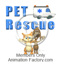 Cat and dog advertise pet rescue
