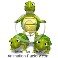 Turtles Animation