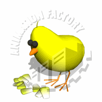 Chick Animation