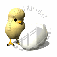 Egg Animation