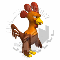 Rooster Animation
