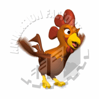 Chicken Animation