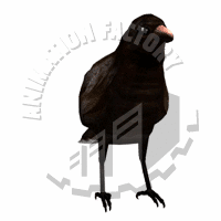 Crow Animation