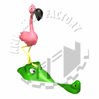 Flamingo Animation
