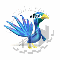 Peacock Animation