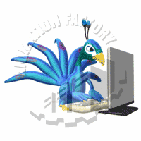 Peacock Animation