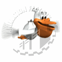 Pelican Animation