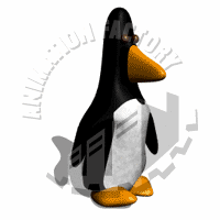 Penguin Animation