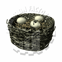 Hatching Animation
