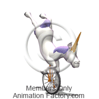 Unicycle Animation