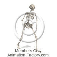 Bone Animation