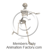 Bone Animation