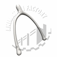 Wishbone Animation