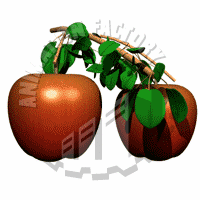 Agriculture Animation