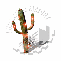 Saguaro Animation