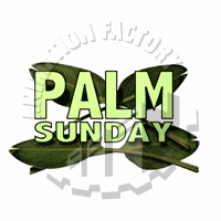 Palm Animation