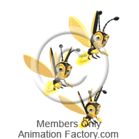 Insects Animation