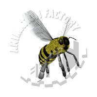 Bee Animation
