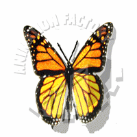 Monarch Animation