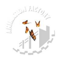 Butterflies Animation