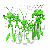 Grasshoppers Animation