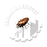 Pest Animation