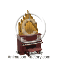 Organ Animation