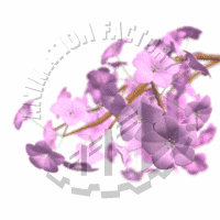 Blossoms Animation