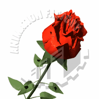 Rose Animation